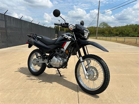 2024 Honda XR150L in Greenville, Texas - Photo 7