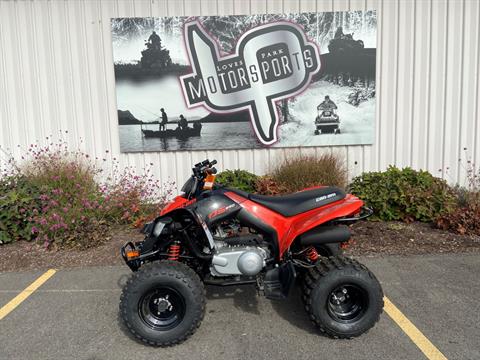 2022 Can-Am DS 250 in Roscoe, Illinois - Photo 1