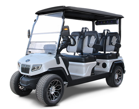 2023 EEV Golf Carts D5 Ranger 4 in Norfolk, Virginia