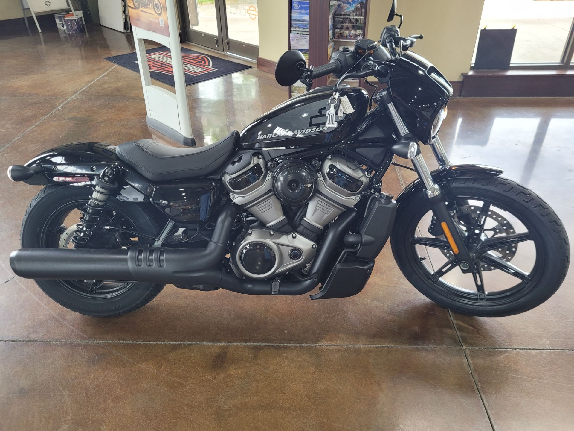2022 Harley-Davidson 975 Nightster in Winchester, Virginia - Photo 1