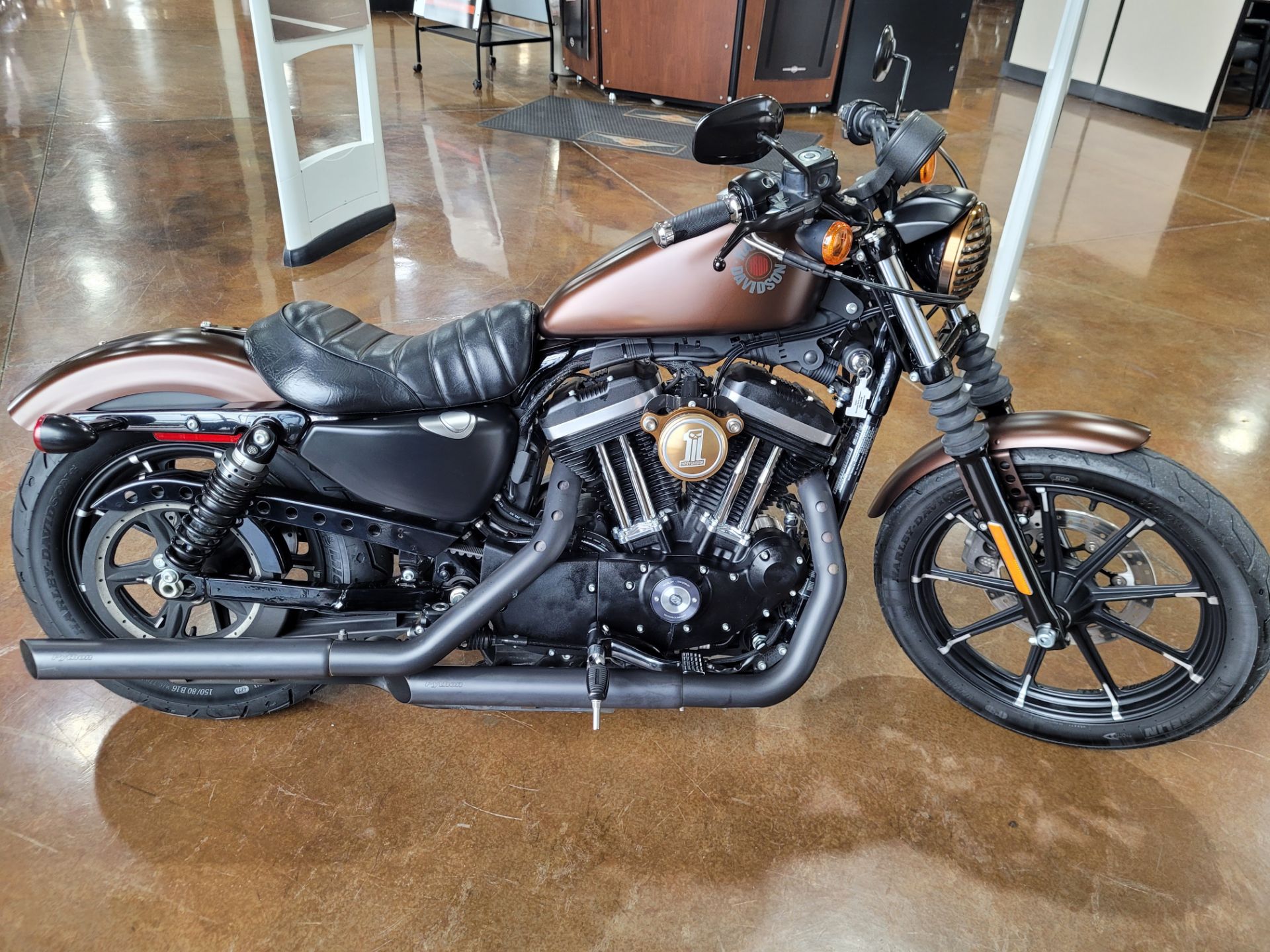 2019 Harley-Davidson Iron 883 in Winchester, Virginia - Photo 1