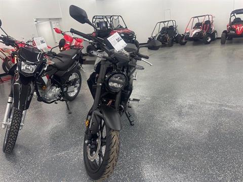2024 Honda CB300R ABS in Valparaiso, Indiana - Photo 3