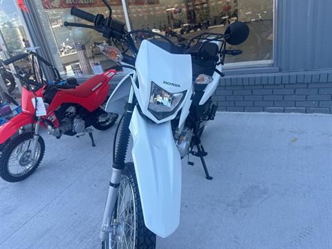 2024 Honda XR150L in Valparaiso, Indiana - Photo 14