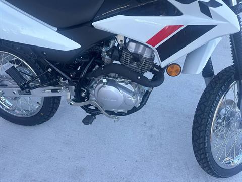 2024 Honda XR150L in Valparaiso, Indiana - Photo 22