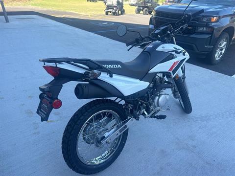 2024 Honda XR150L in Valparaiso, Indiana - Photo 9