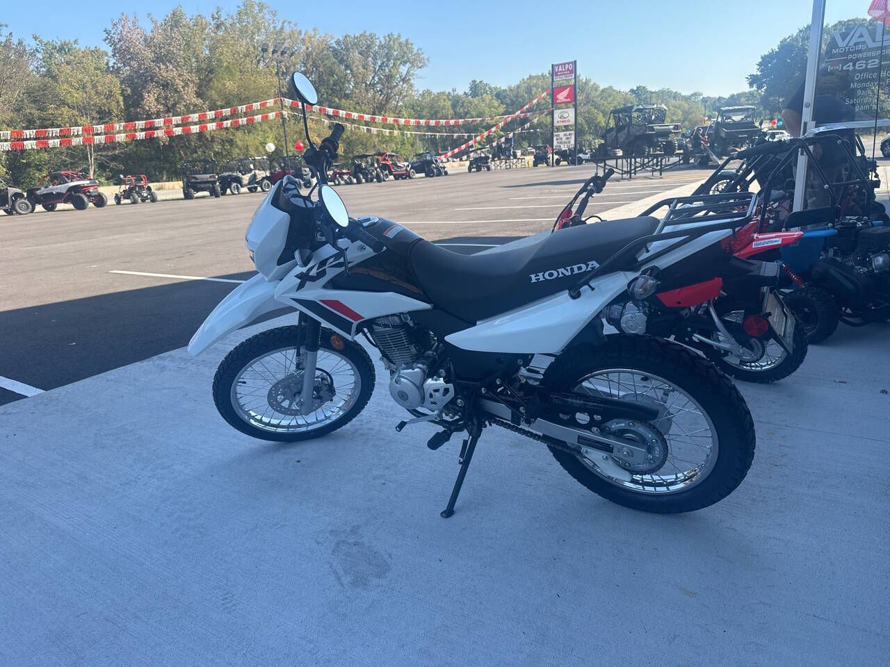 2024 Honda XR150L in Valparaiso, Indiana - Photo 3