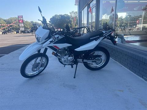 2024 Honda XR150L in Valparaiso, Indiana - Photo 8