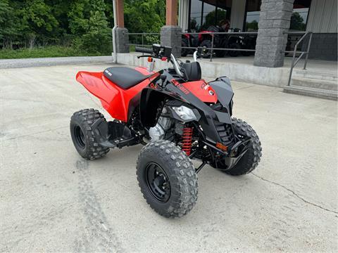 2024 Can-Am DS 250 in Leland, Mississippi - Photo 1
