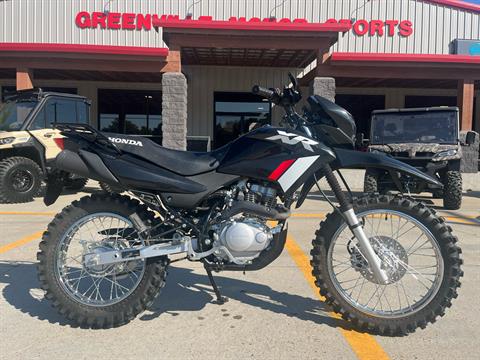 2024 Honda XR150L in Leland, Mississippi - Photo 1