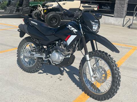 2024 Honda XR150L in Leland, Mississippi - Photo 2