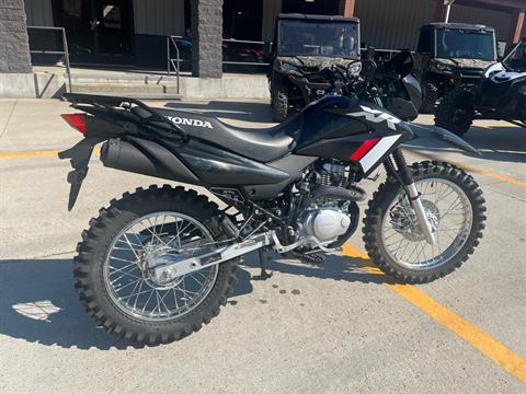 2024 Honda XR150L in Leland, Mississippi - Photo 3