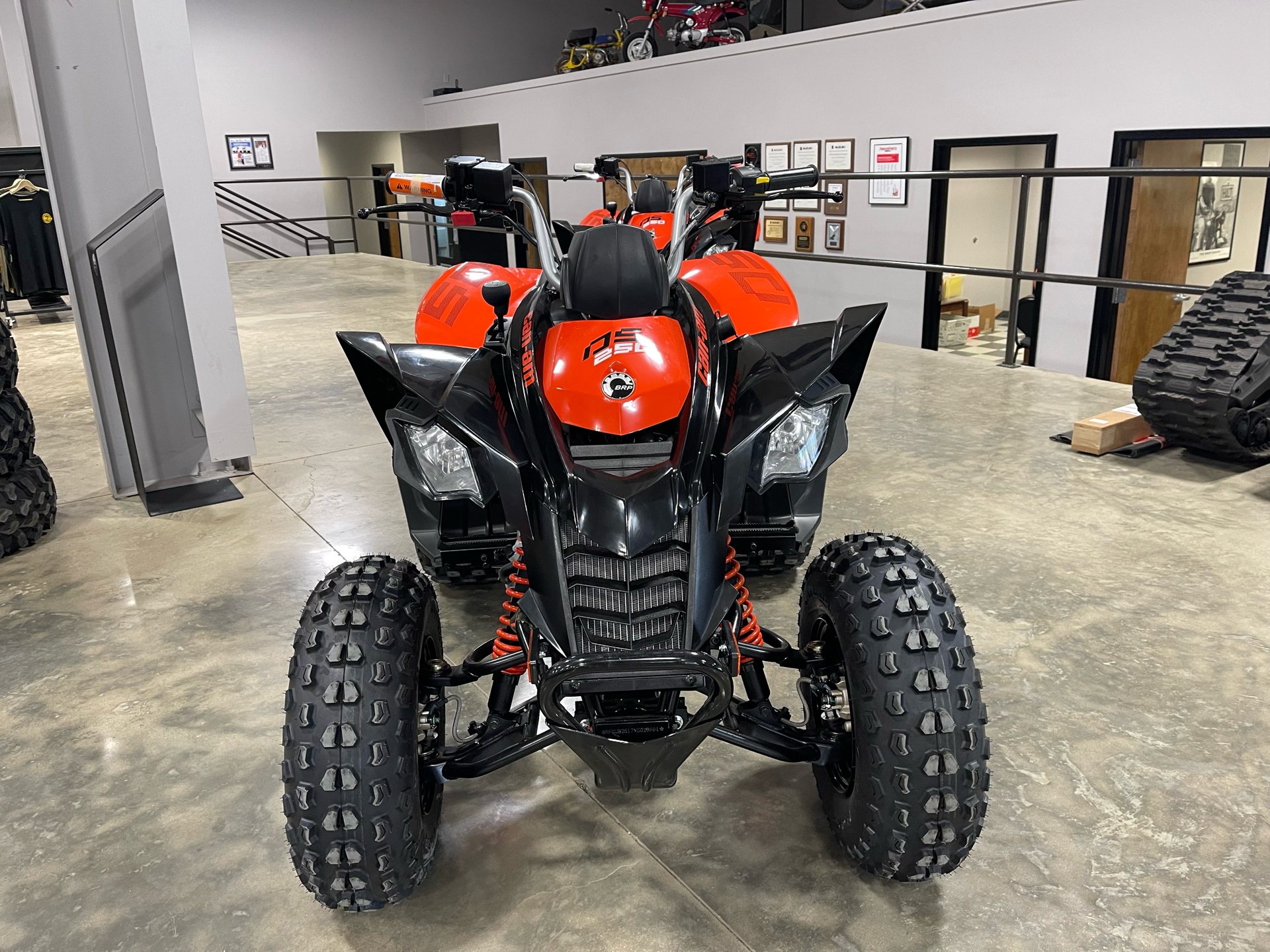 2022 Can-Am DS 250 in Leland, Mississippi - Photo 2