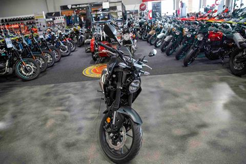 2024 Honda CB300R ABS in Charleston, Illinois - Photo 3