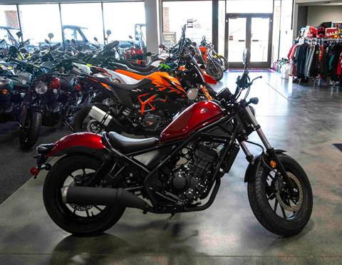 2023 Honda Rebel 300 in Charleston, Illinois - Photo 1