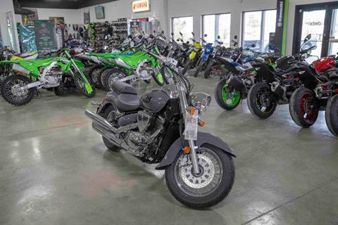 2023 Suzuki Boulevard C50 in Effingham, Illinois - Photo 2