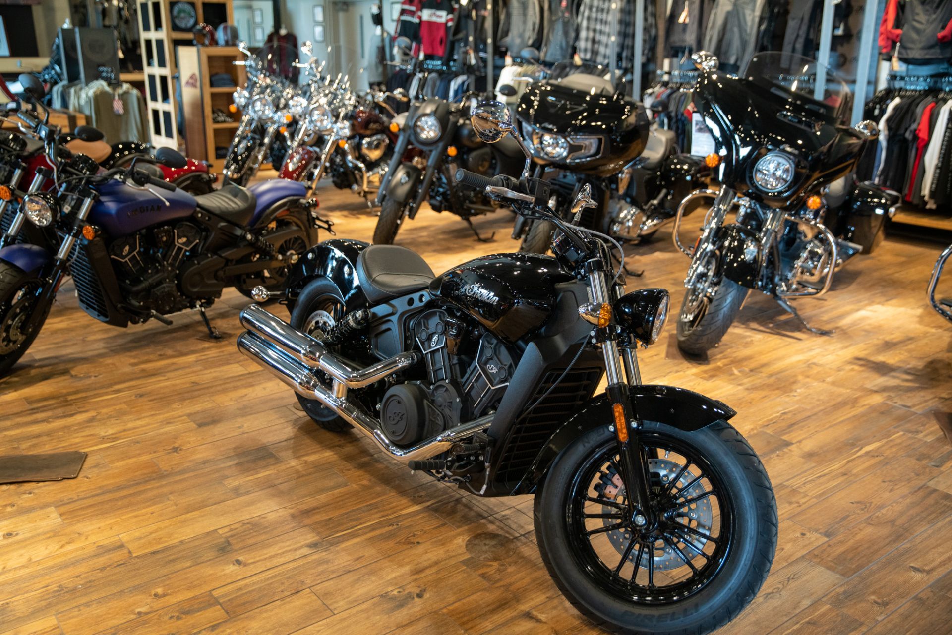 2023 Indian Motorcycle Scout® Sixty ABS in Charleston, Illinois - Photo 2