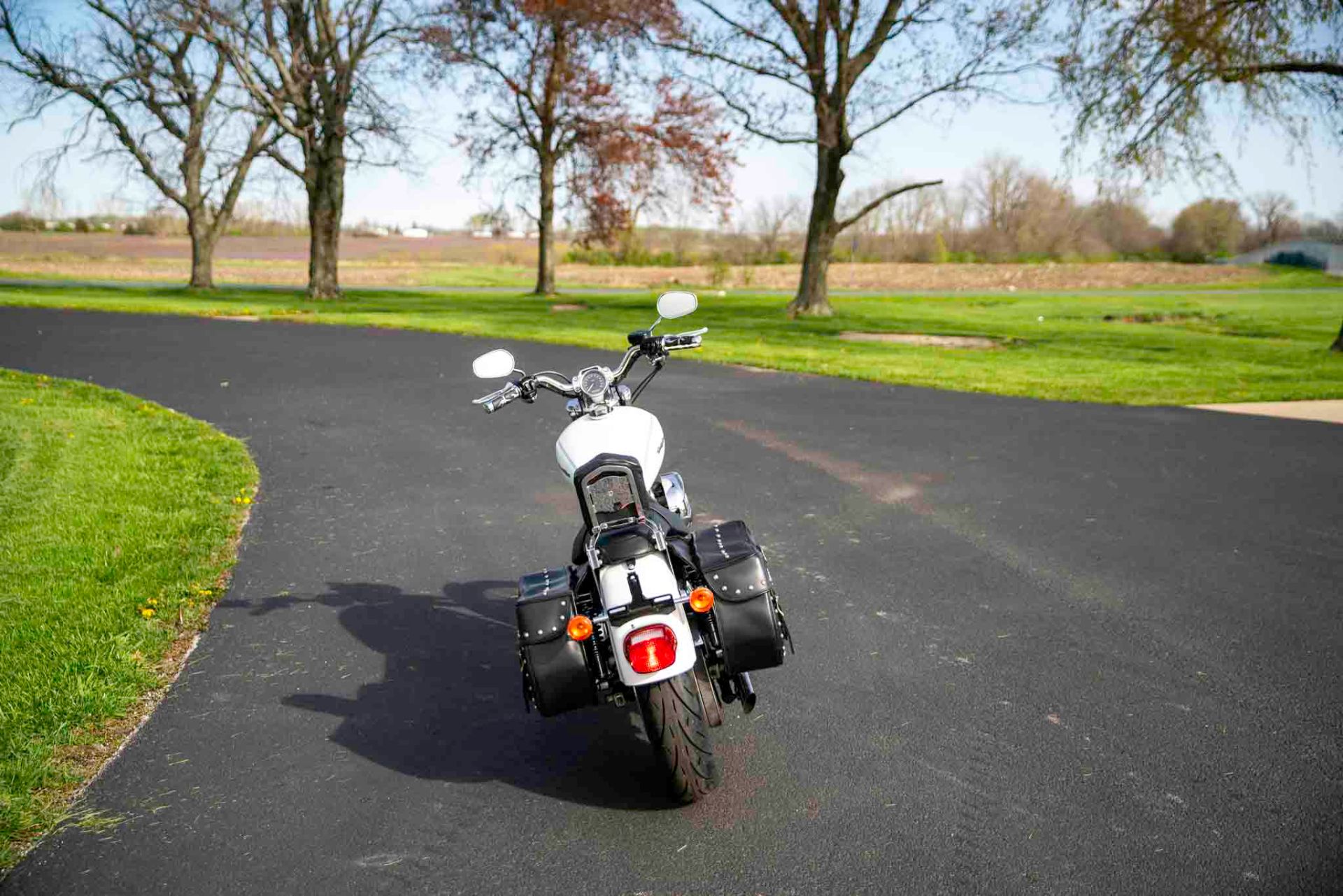 2004 Harley-Davidson Sportster® XL 883 Custom in Charleston, Illinois - Photo 7