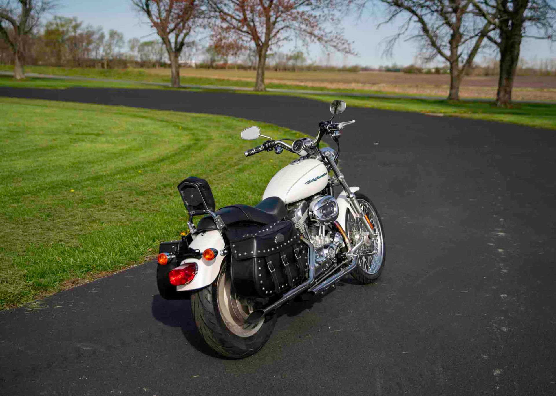 2004 Harley-Davidson Sportster® XL 883 Custom in Charleston, Illinois - Photo 8