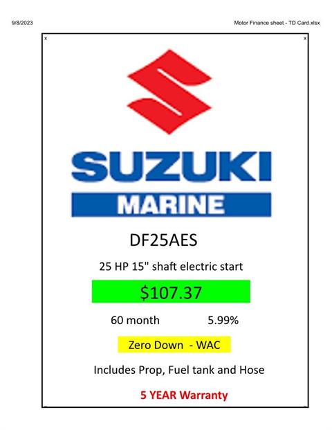 Suzuki Marine DF25AS Electric in Memphis, Tennessee - Photo 1