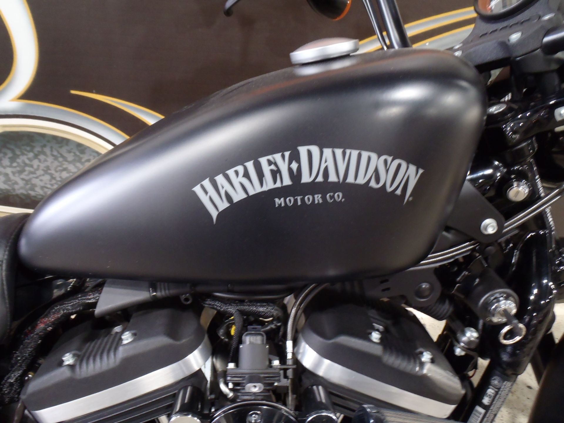 2015 Harley-Davidson Iron 883™ in South Saint Paul, Minnesota - Photo 21