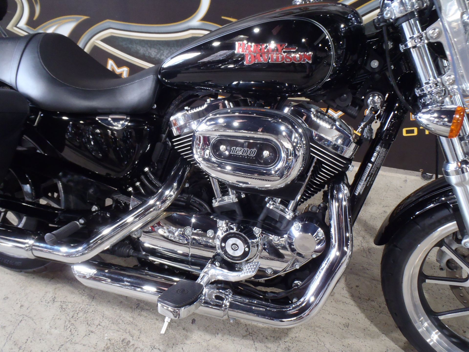 2015 Harley-Davidson SuperLow® 1200T in South Saint Paul, Minnesota - Photo 4