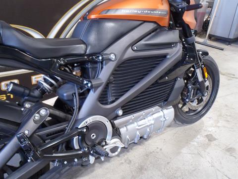 2020 Harley-Davidson Livewire™ in South Saint Paul, Minnesota - Photo 9
