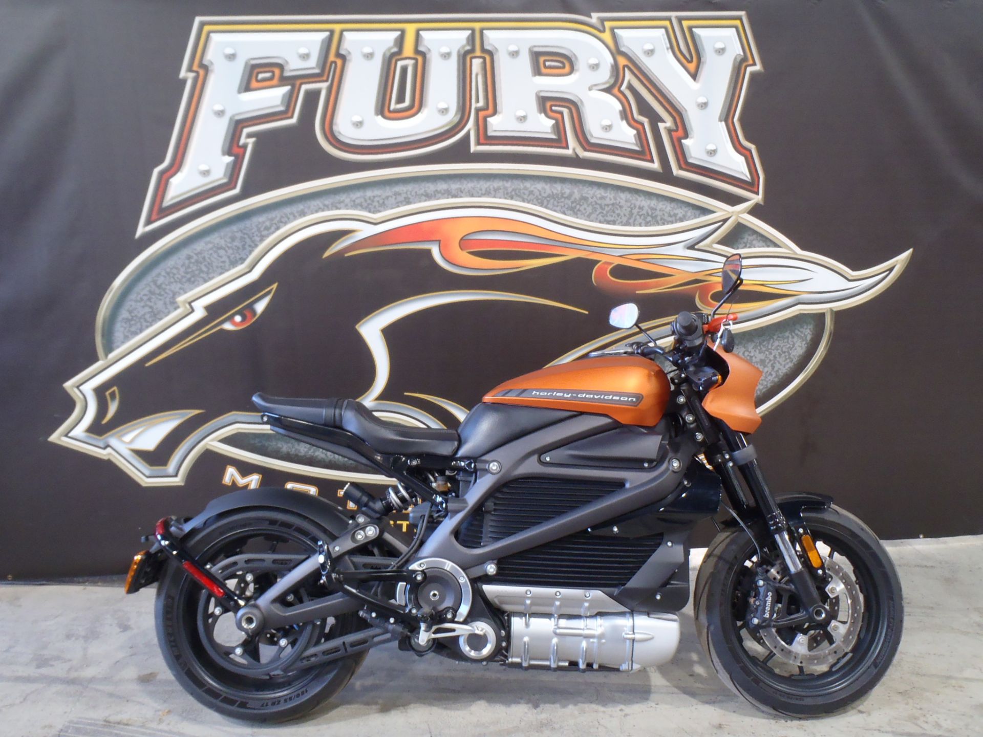 2020 Harley-Davidson Livewire™ in South Saint Paul, Minnesota - Photo 1