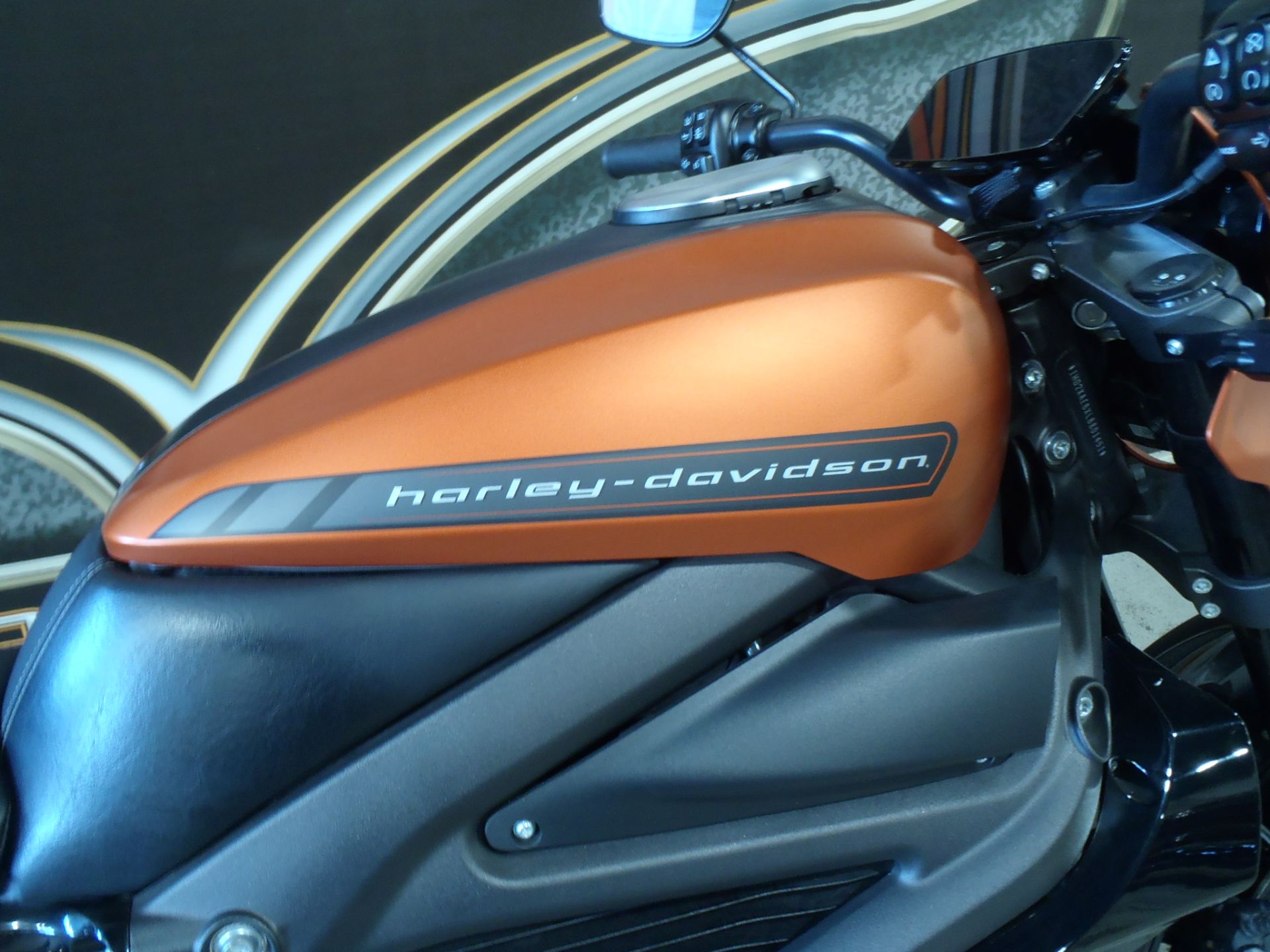 2020 Harley-Davidson Livewire™ in South Saint Paul, Minnesota - Photo 6