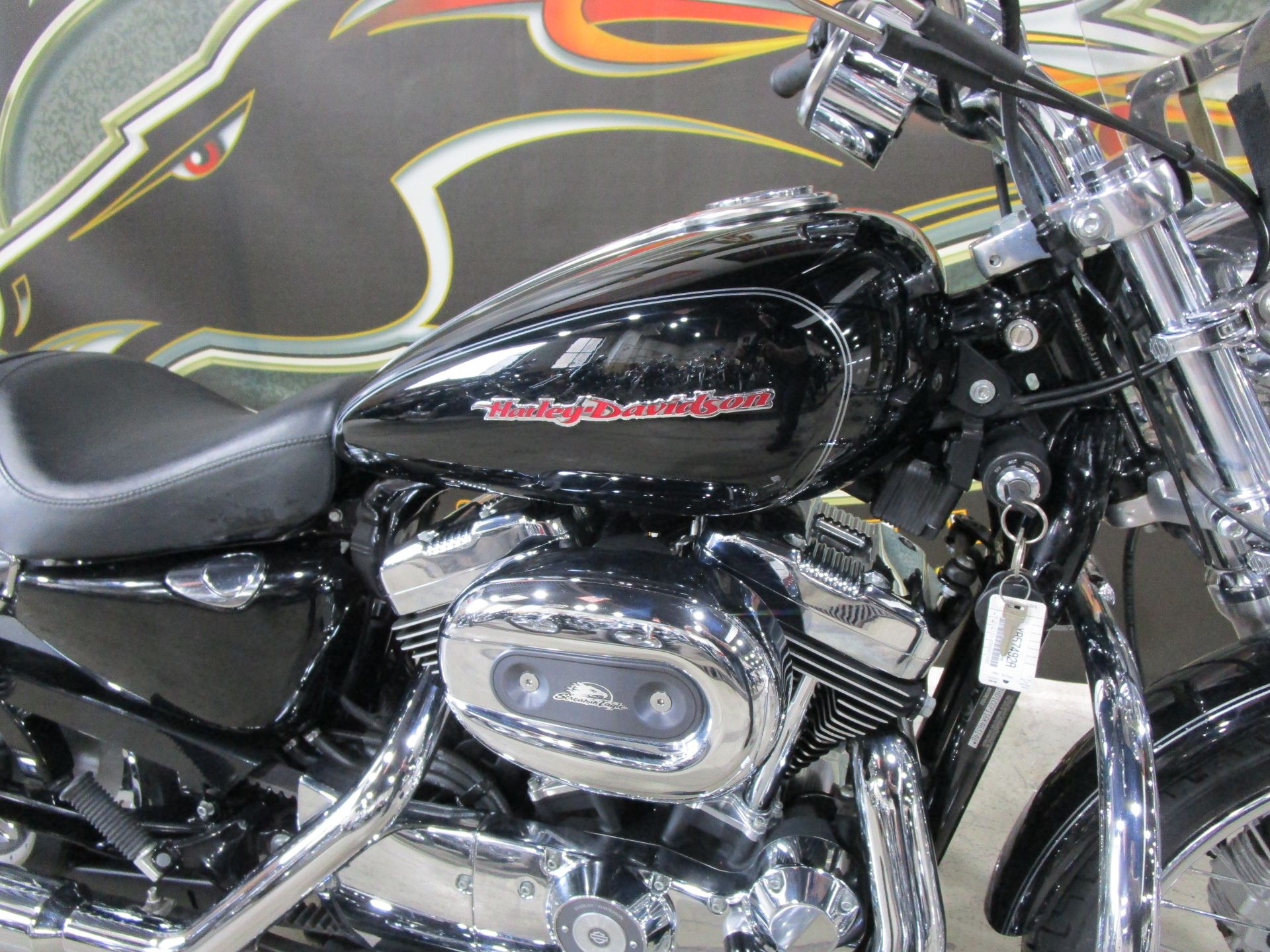 2006 Harley-Davidson Sportster® 1200 Custom in South Saint Paul, Minnesota - Photo 5
