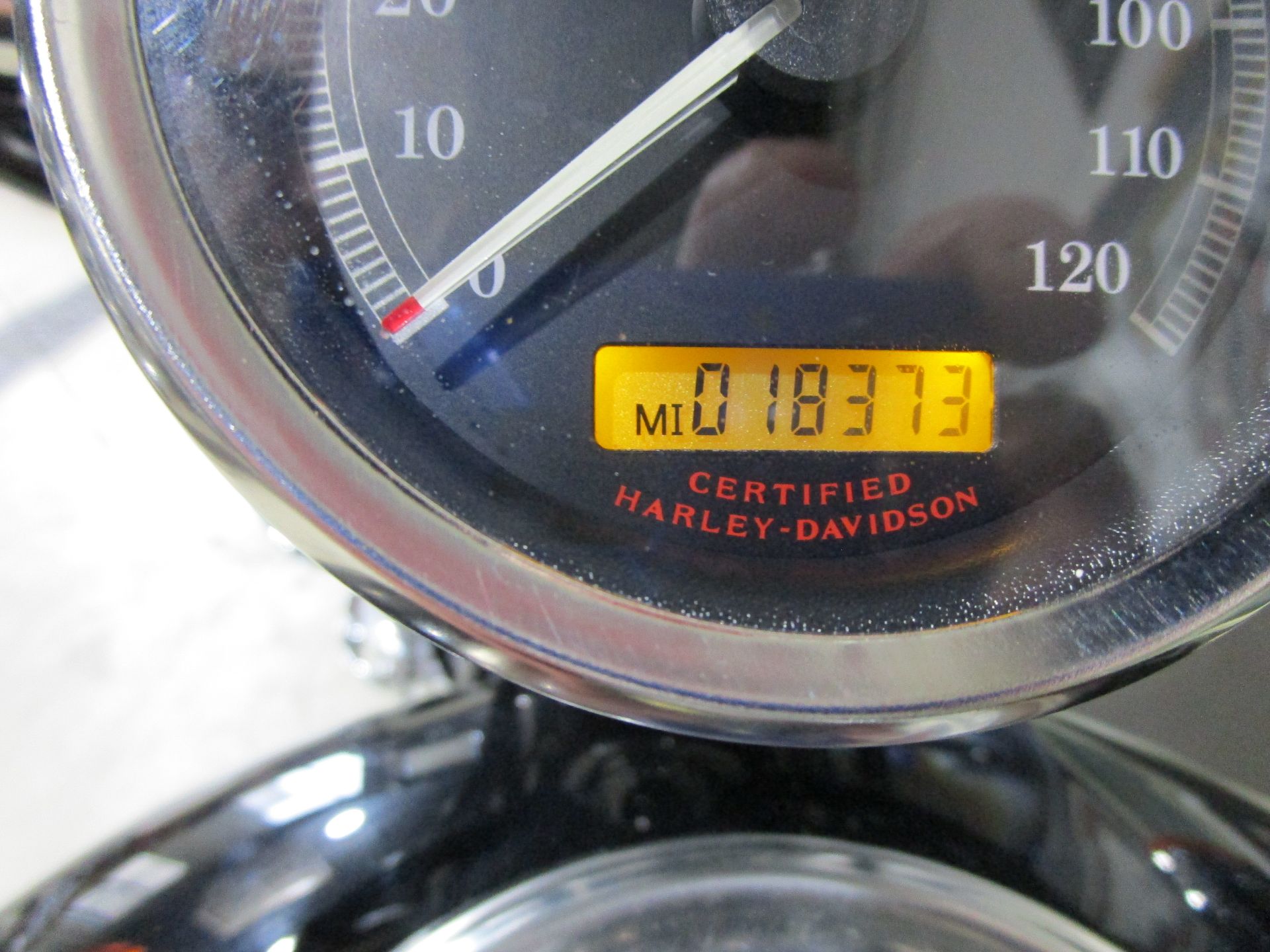 2005 Harley-Davidson Sportster® XL 1200 Custom in South Saint Paul, Minnesota - Photo 25