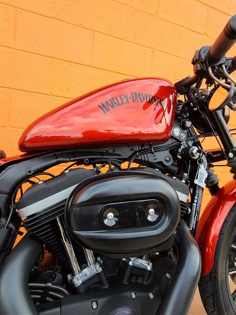 2013 Harley-Davidson Sportster® Iron 883™ in Fredericksburg, Virginia - Photo 3
