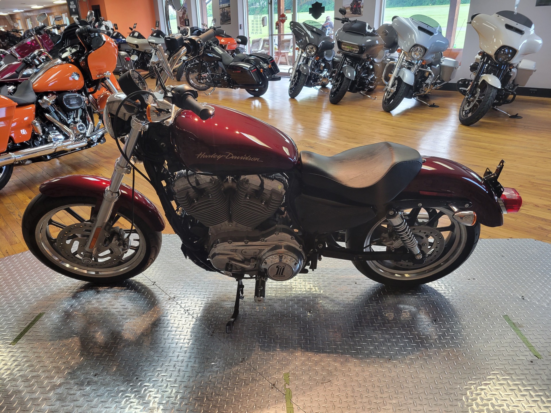 2014 Harley-Davidson Sportster® SuperLow® in Orange, Virginia - Photo 4