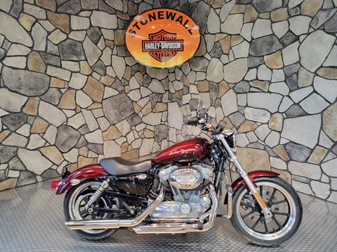 2014 Harley-Davidson Sportster® SuperLow® in Orange, Virginia - Photo 1