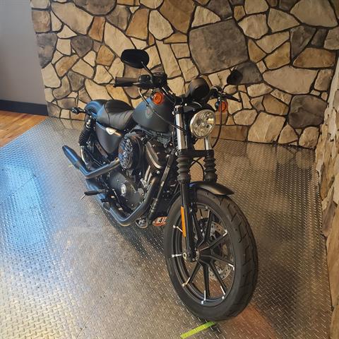 2022 Harley-Davidson Iron 883™ in Orange, Virginia - Photo 3