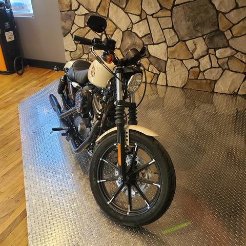 2022 Harley-Davidson Iron 883™ in Orange, Virginia - Photo 3