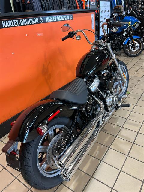 2023 Harley-Davidson Softail® Standard in Dumfries, Virginia - Photo 9
