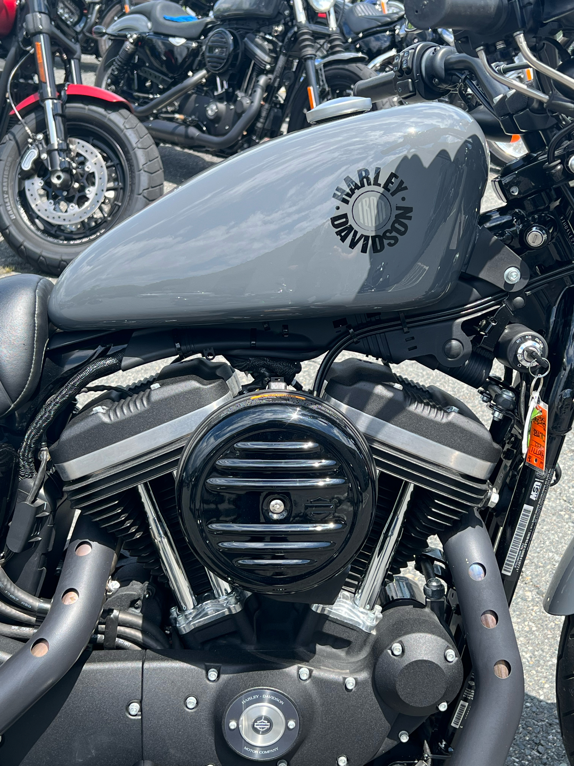 2022 Harley-Davidson IRON 883 in Dumfries, Virginia - Photo 10