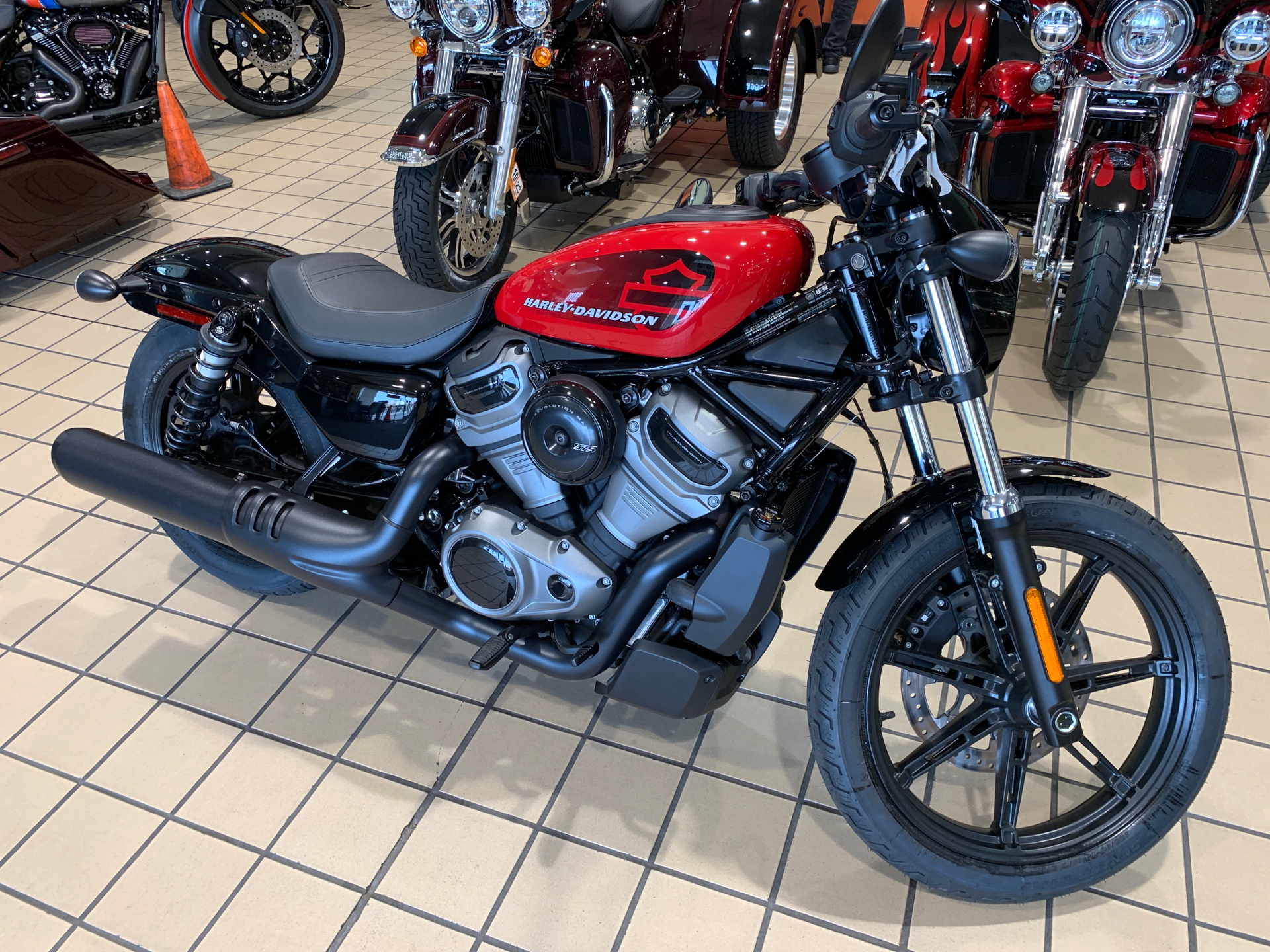 2022 Harley-Davidson Nightster in Dumfries, Virginia