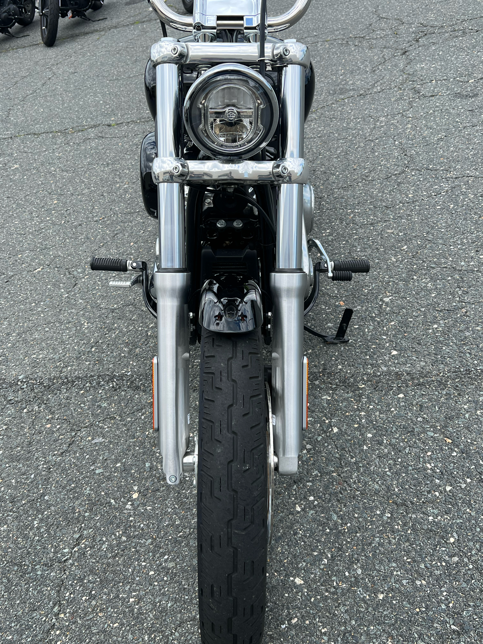 2021 Harley-Davidson Softail® Standard in Dumfries, Virginia - Photo 14