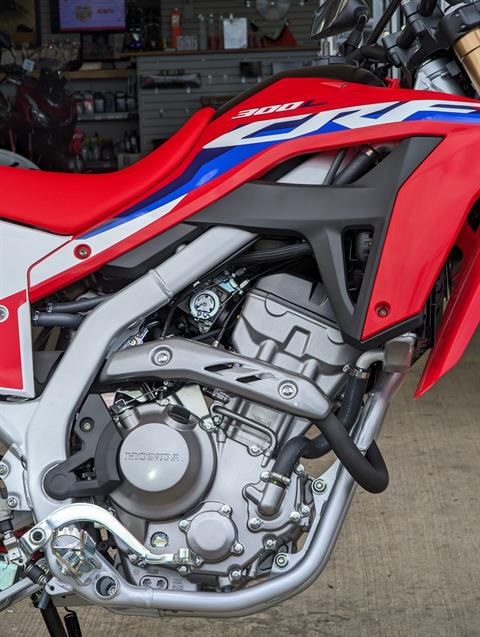 2024 Honda CRF300L ABS in Winchester, Tennessee - Photo 2