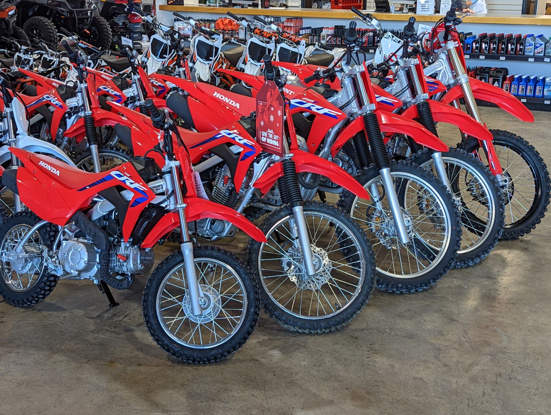 2023 Honda CRF110F in Winchester, Tennessee - Photo 5