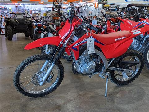 2023 Honda CRF110F in Winchester, Tennessee - Photo 1