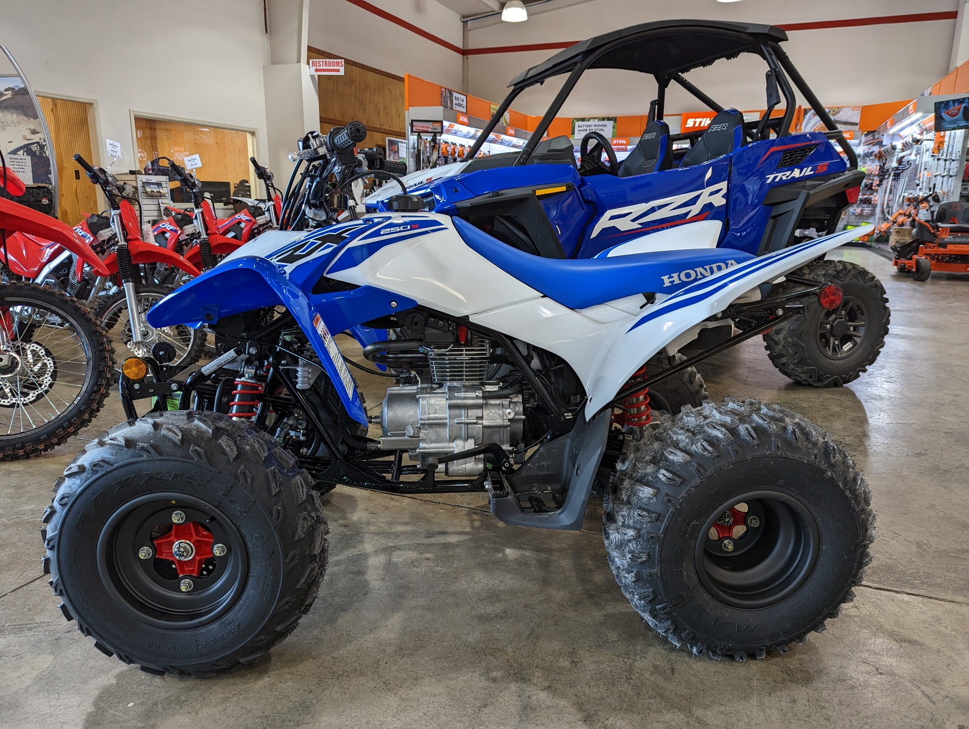 2022 Honda TRX250X in Winchester, Tennessee - Photo 3