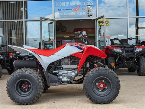 2024 Honda TRX250X in Winchester, Tennessee - Photo 1