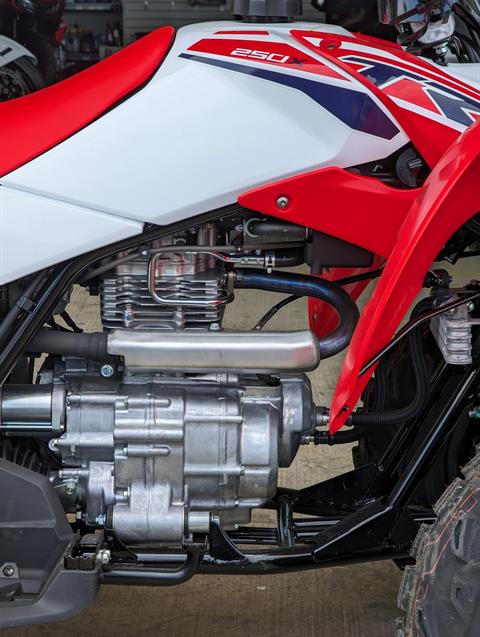 2024 Honda TRX250X in Winchester, Tennessee - Photo 2