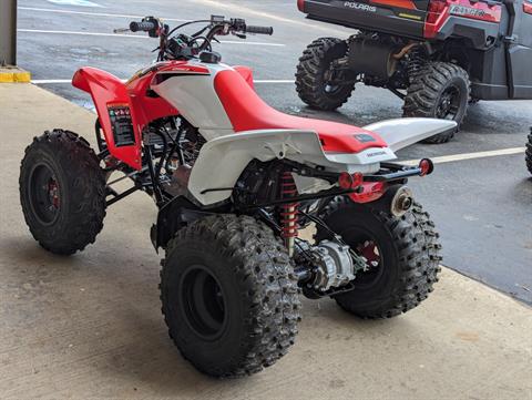 2024 Honda TRX250X in Winchester, Tennessee - Photo 5