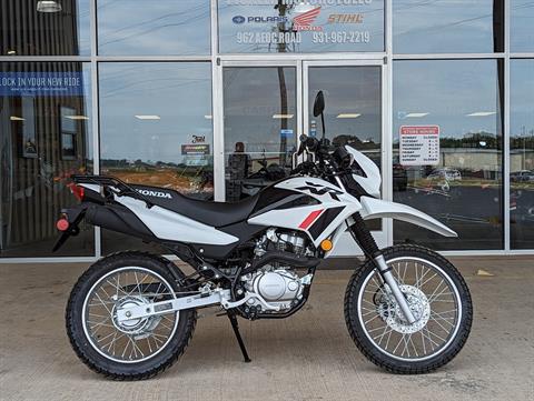 2023 Honda XR150L in Winchester, Tennessee - Photo 1