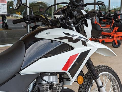 2023 Honda XR150L in Winchester, Tennessee - Photo 2