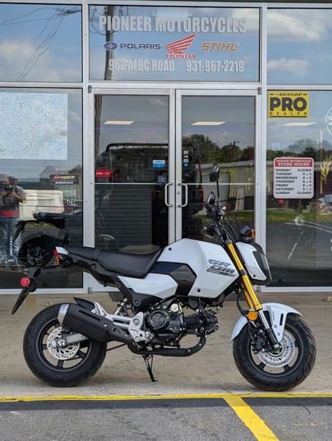 2025 Honda Grom ABS in Winchester, Tennessee