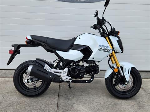 2025 Honda Grom in Atlantic, Iowa - Photo 1